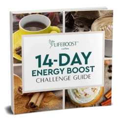 14-Day Energy Challenge Ebook